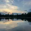 Lizzy - @elizabeth.bayers - TikTok