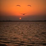 Beth Bayless Scholtz - @bethadele16 - Instagram