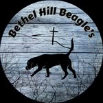 Bethel Hill Beagles - @bethel_hill_beagles - Instagram