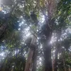 user15541722401904 - @betheeagle - TikTok
