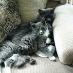Beth & Bean - @bethy_beany - Instagram