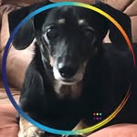 Beth Bearden - @bethab3 - Instagram