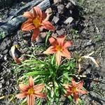 Beth Bearden - @beth.bearden.75 - Instagram