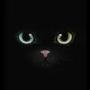 bethbeardsley925 - @bethbeardsley2 - TikTok
