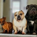 Betty Beardsley Zamora - @subiequeenb_4eva - Instagram