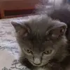 Dodu 'P' - @beatrice.beth2 - TikTok