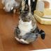 Beth Beaty - Facebook