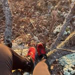 Beth Beaulieu - @maplesugarbess - Instagram