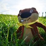 beth the beaver - @beth_the_beaver - Instagram