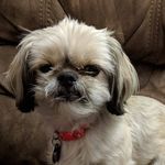 Bethany Beavers - @bethany.beavers.37 - Instagram