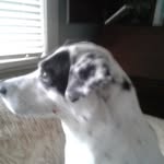 Beth beck - @bethbeck5806 - Instagram