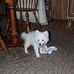 Beth Beckman - Facebook