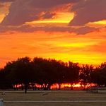 Betty J. Beddow - @bettyj.beddow - Instagram
