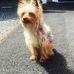Elizabeth Bednarek - Facebook