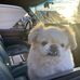 Beth Beeler - Facebook