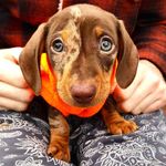 Bettye Beeler - @bettyebeeler919 - Instagram