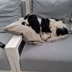 Liesbeth Van Beers - @beersliesbethvan - Instagram