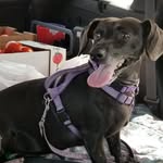 Beth Behrens - @bethbhrens - Instagram