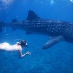Beth Belk - @idle_nomad - Instagram