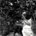 Beth Anjiela Belmonte - Facebook
