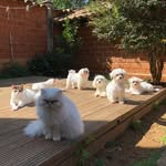 BethBeltrãoMoinho - @bethbeltraomoinho - Instagram