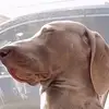 Bethany Bemis - @bethany.bemis - TikTok