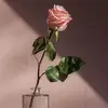 Beth Benitez - @beth.benitez63 - TikTok