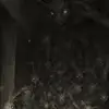 TheJayJayBoy - @bethbenoit329 - TikTok