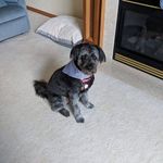 Beth Stoffer Bentz - @stofferbentz - Instagram
