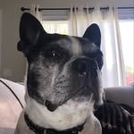 beth berdan - @bethberdan - Instagram