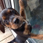 Beth (Berglund) Strunc - @bethstrunc - Instagram