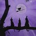 Elizabeth Berglund - Facebook