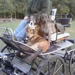 Beth Berlin - Facebook