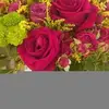 Beth Bernardo - @beth.bernardo45 - TikTok