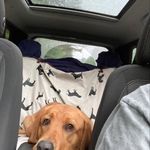Beth Beyer Gilford - @bethbeyergilford - Instagram