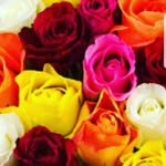 Beth Bloom - @_beth_bloom_ - Instagram