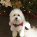 Beth Boland - Facebook