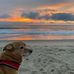 Beth Boland Rollins - Facebook