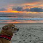 Beth Boland Rollins - @bolandrollins - Instagram