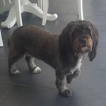 Beth Bolander - @bethbolander - Instagram