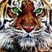 Beth Bourgaize - Facebook