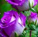 Beth Burg - Facebook