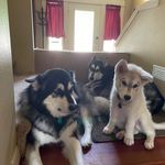 Beth Bowen - @ravie9999 - Instagram