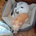 Beth Bowen - Facebook