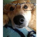 Beth Boyette - @beth.boyette12 - Instagram