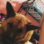 Tosha Beth Boyette - @toshabethboyette - Instagram