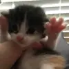 beth.burchfield - @beth.burchfield - TikTok