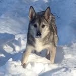 Betsy Burchfield Springer - @betsyspringer2 - Instagram