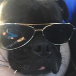 Beth Burtch - @bethburtch - Instagram