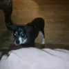 Beth Caldwell - @beth.caldwell2 - TikTok